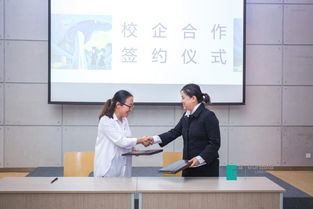 真實本位,創意傳播 我校文化傳媒學院畢業設計側記