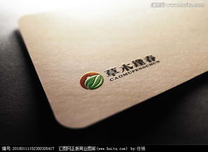 文化傳播公司logo設計 從素材選擇到設計懸賞的完整指南